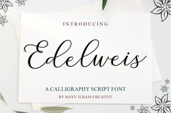 Edelweis: Elevating Your Design with Elegant Script Typography