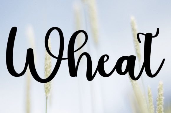 Wheat Font: Elevate Your Designs with Handwritten Charm